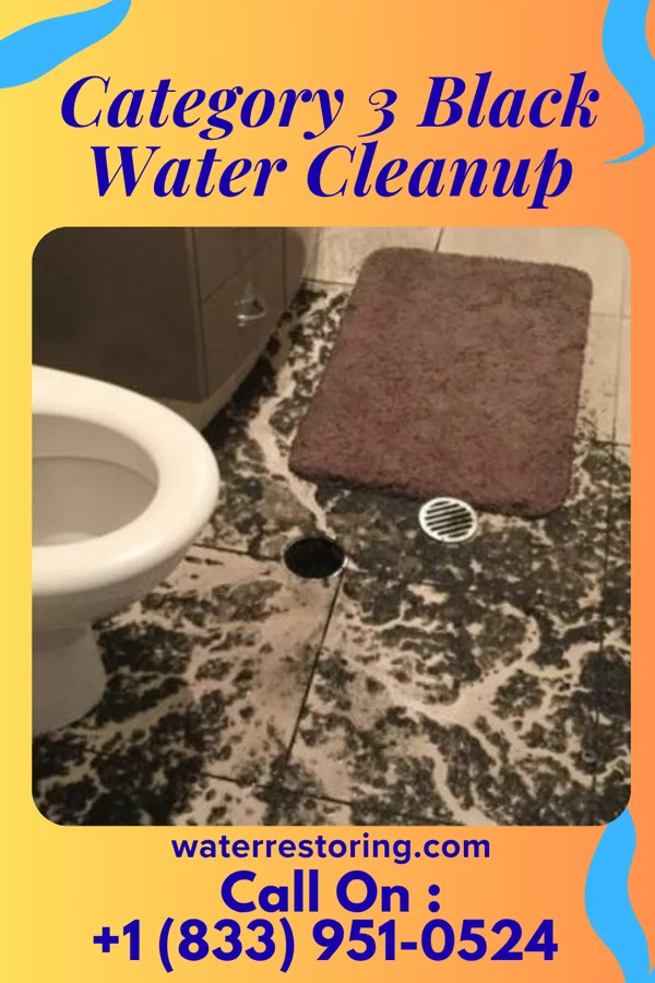 Category 3 Black Water Cleanup in Freeport, MI