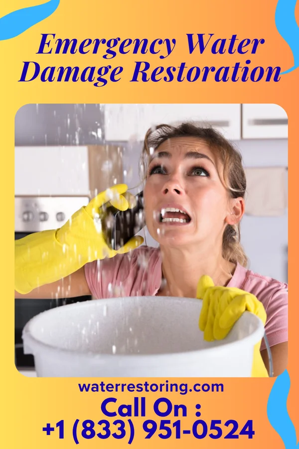 Emergency Water Damage Restoration in Freeport, MI