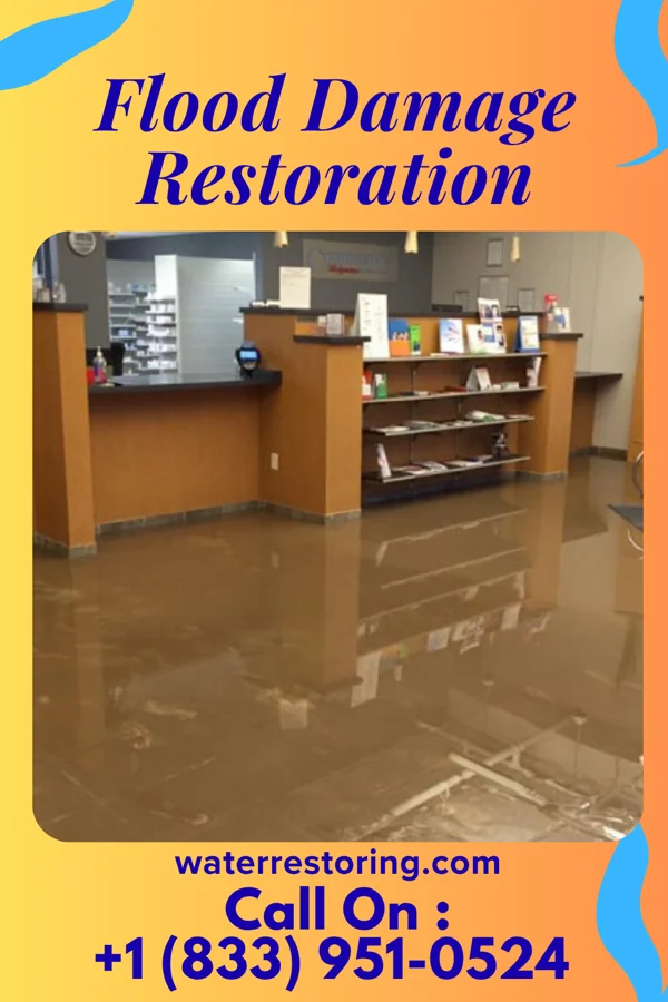 Flood Damage Restoration in Freeport, MI