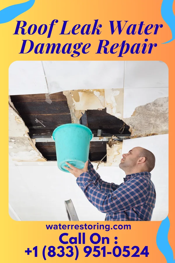 Roof Leak Water Damage Repair in Freeport, MI