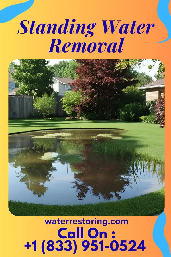 Standing Water Removal in Freeport, MI